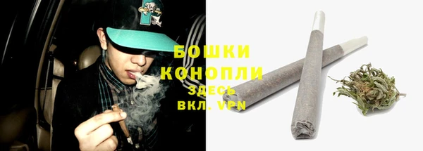 мдпв Мегион