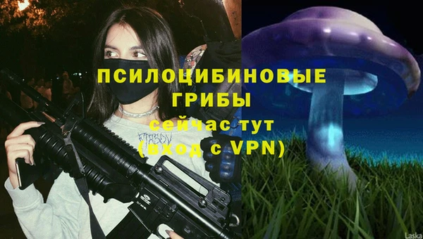 мдпв Мегион