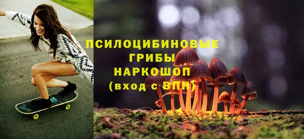 мяу мяу мука Медногорск