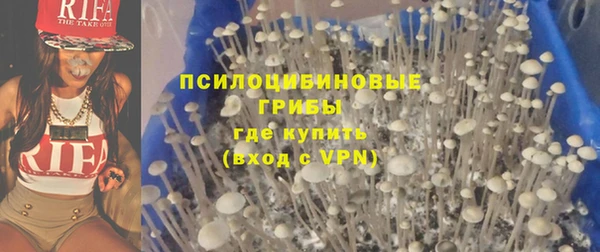 мяу мяу мука Медногорск