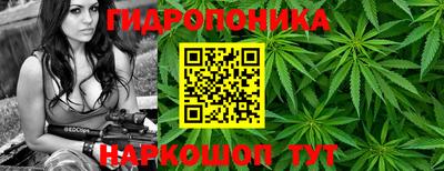 дмт Гусев