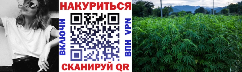 blacksprut вход  где купить наркоту  Узловая  Шишки марихуана SATIVA & INDICA 